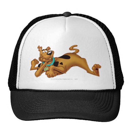 Actitud 13 del aerógrafo de Scooby Doo Gorros Bordados