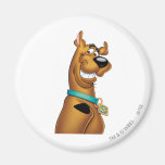 Actitud 22 del aerógrafo de Scooby Doo Imán Para Frigorífico