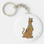 Actitud 27 de Scooby Doo Llaveros