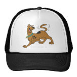 Actitud 41 de Scooby Doo Gorros
