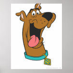 Actitud 49 de Scooby Doo Posters