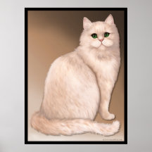 Actitud del gato poster