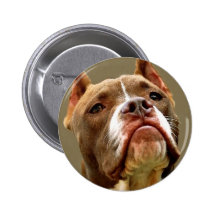 Actitud Pins
