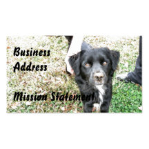 Actitudes adorables de Smokey para la cámara Tarjeta De Visita