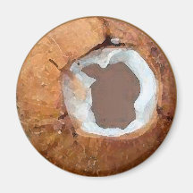 Acuarela del coco - imán