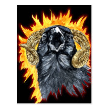 Acuarela del cuervo del aries tarjetas postales
