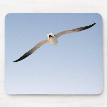 Acuarela Styel de la gaviota de la P.M. 6538 Tapete De Ratones