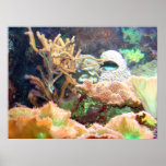 Acuario Impresiones