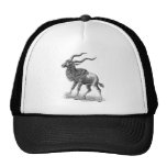 Addax Gorra