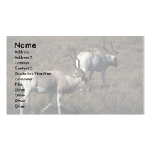 Addax Plantillas De Tarjeta De Negocio