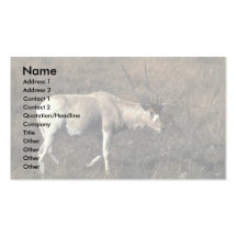 Addax Tarjeta De Visita