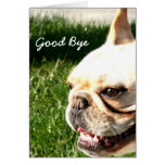 Adiós tarjeta de felicitación del dogo francés