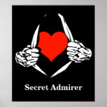 Admirador secreto poster