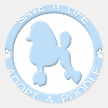 Adopte a los pegatinas de un caniche