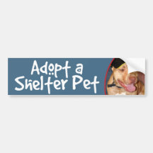 Adopte a un mascota del refugio - pegatina para el etiqueta de parachoque