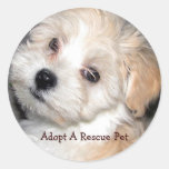 Adopte a un mascota del rescate pegatinas  