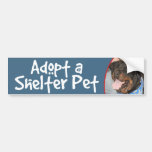 Adopte a un mascota Rottweiler del refugio Pegatina De Parachoque