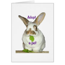 Adopte a un mascota tarjeton