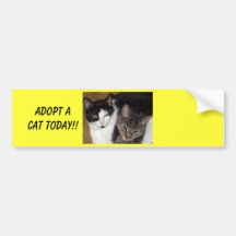 Adopte a una pegatina para el parachoques del gato pegatina de parachoque