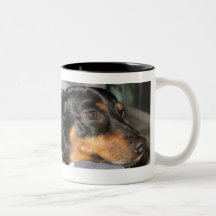 Adopte de un refugio taza