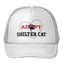 Adopte un gato del refugio gorra