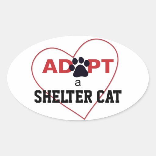 Adopte un gato del refugio pegatinas óval personalizadas