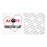 Adopte un gato del refugio tarjetas con fotos personalizadas