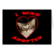 Adopte un gato tarjetón