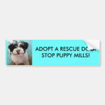 ¡ADOPTE UN PERRO DEL RESCATE! ¡PARE LOS MOLINOS DE PEGATINA DE PARACHOQUE