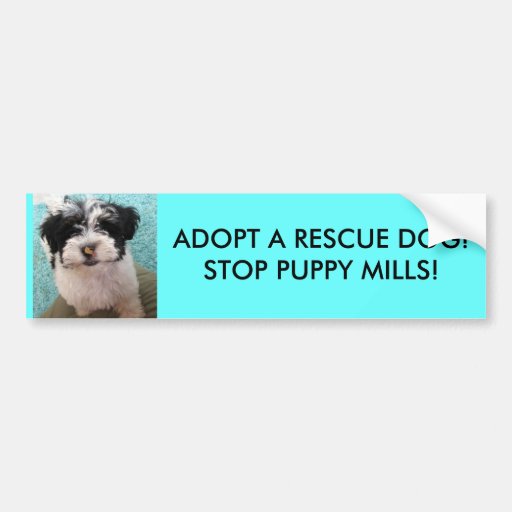 ¡ADOPTE UN PERRO DEL RESCATE! ¡PARE LOS MOLINOS DE PEGATINA DE PARACHOQUE