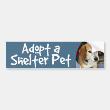 Adopte una foto del beagle del mascota del refugio pegatina de parachoque