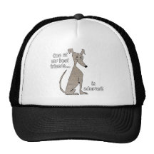Adopted~Brindle Gorros Bordados