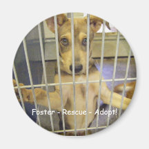 Adoptivo - rescate - adopte el imán