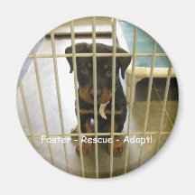 Adoptivo - rescate - adopte el imán