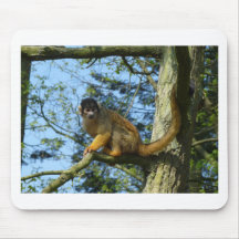 Affe auf dem Baum Mousepads