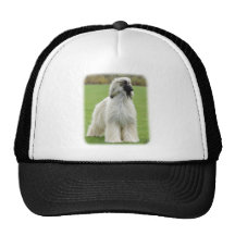 Afgano 9Y247D-010 Gorra