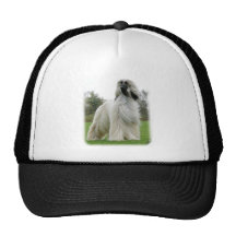 Afgano 9Y247D-025 Gorros Bordados