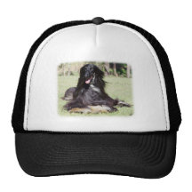 Afgano AA017D-115 Gorros Bordados