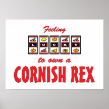 Afortunado a propio un diseño de Cornualles del ga Posters