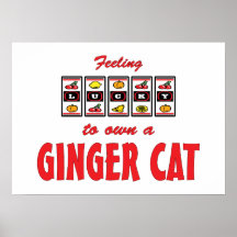 Afortunado a propio un diseño del gato de la diver impresiones