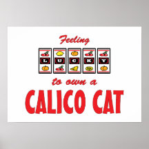Afortunado a propio un diseño del gato de la diver impresiones