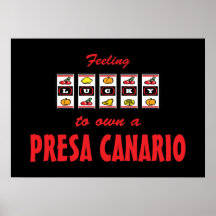 Afortunado a propio un diseño del perro de la dive poster