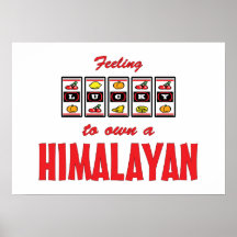 Afortunado a propio un diseño Himalayan del gato d Impresiones