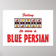 Afortunado a propio un diseño persa azul del gato  posters