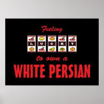 Afortunado a propio un diseño persa blanco del gat poster