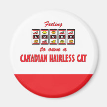 Afortunado a propio un gato sin pelo canadiense De Iman De Nevera