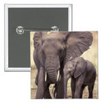África, Tanzania, parque nacional de Tarangire. 2 Pins