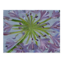 Agapanthus de agosto tarjetas postales