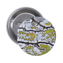 Agave 1 button