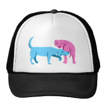 Agradable encontrarle gorro